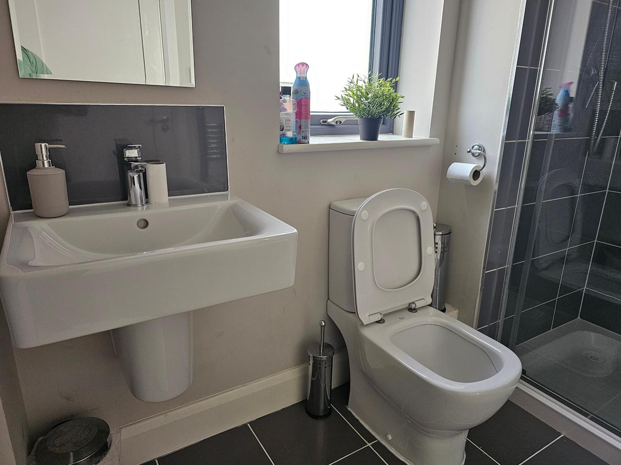 Comfortable Short Stay In Dublin Eksteriør bilde